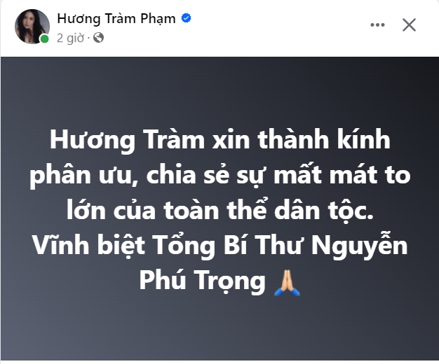 nghe si viet bay to long tiec thuong tong bi thu nguyen phu trong hinh anh 3